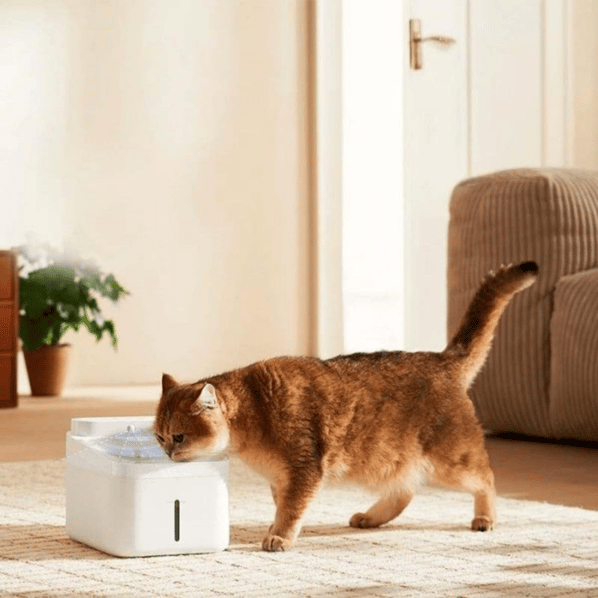Xiaomi Smart Pet Fountain 2 Akıllı Evcil Hayvan Su Haznesi